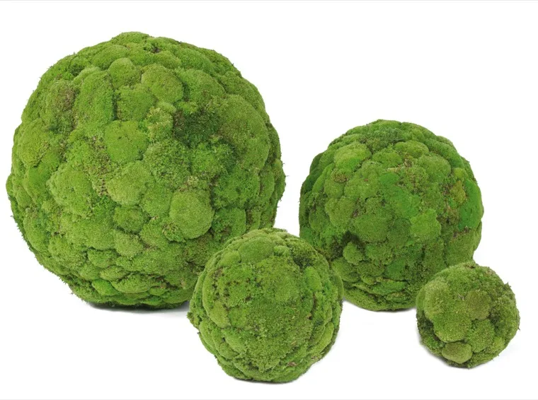 Sphères végétales déco, plante naturelle stabilisée sans entretien