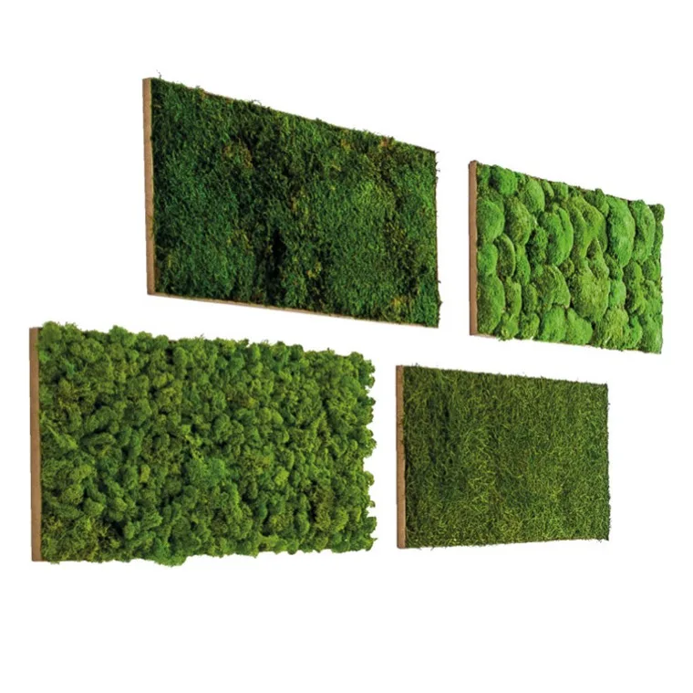 Tuiles végétales murales, plante naturelle stabilisée sans entretien