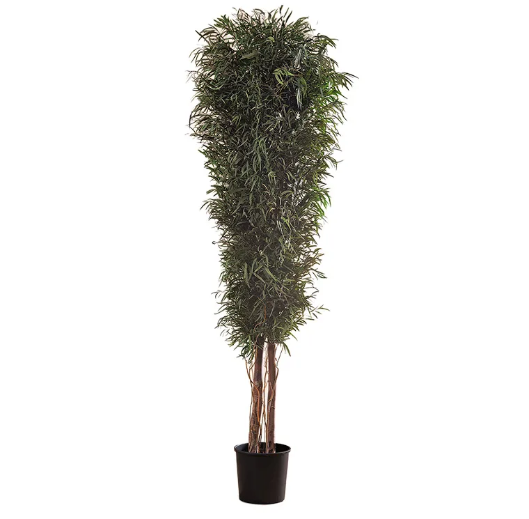 Arbre Nicoly Slim stabilisé, plante naturelle stabilisée sans entretien