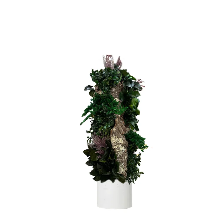Totem végétal Forêt stabilisé, plante naturelle stabilisée sans entretien